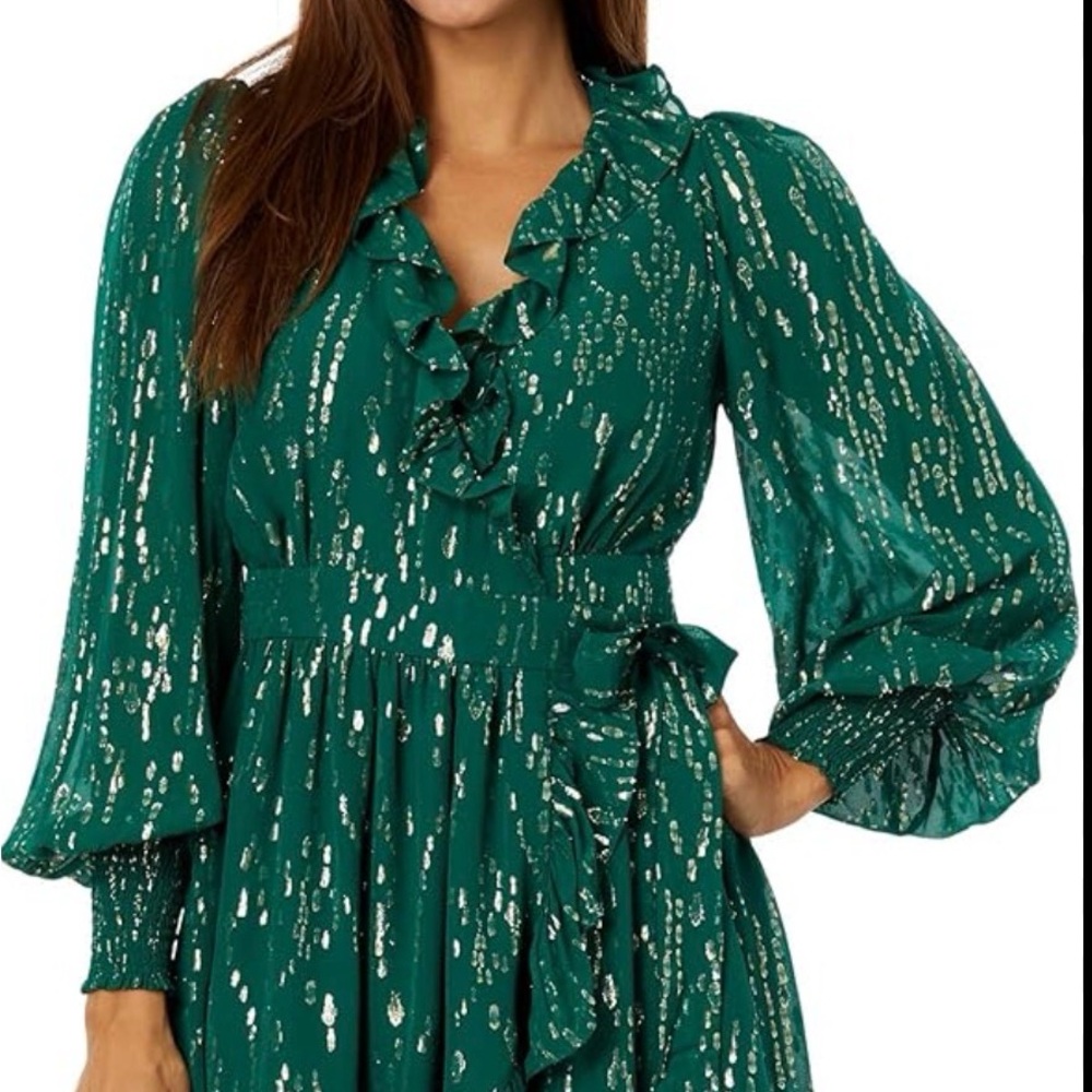 NWT - Lily Birdy Long Sleeve Silk Dress - Evergreen - Size 16 - Picture 8 of 10